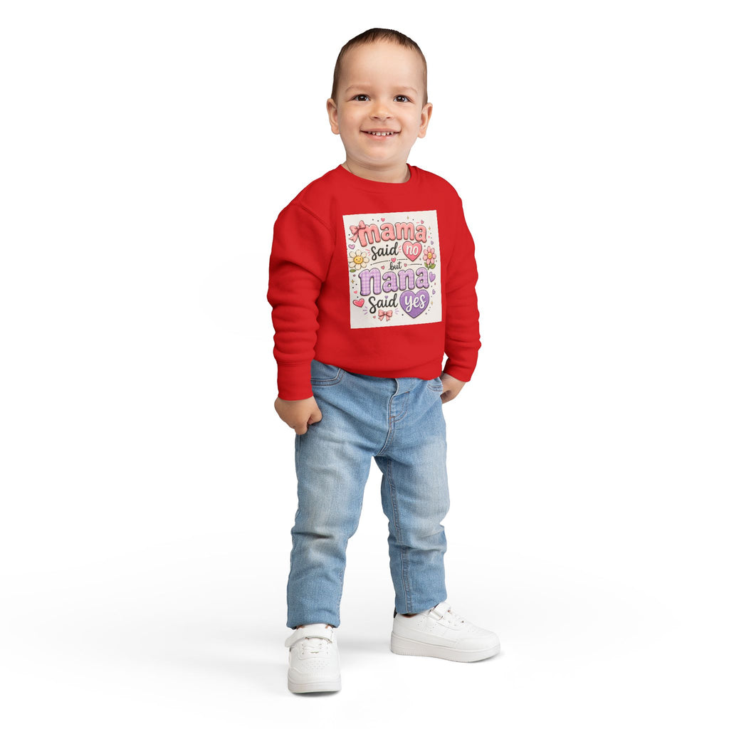 Toddler Sweatshirt