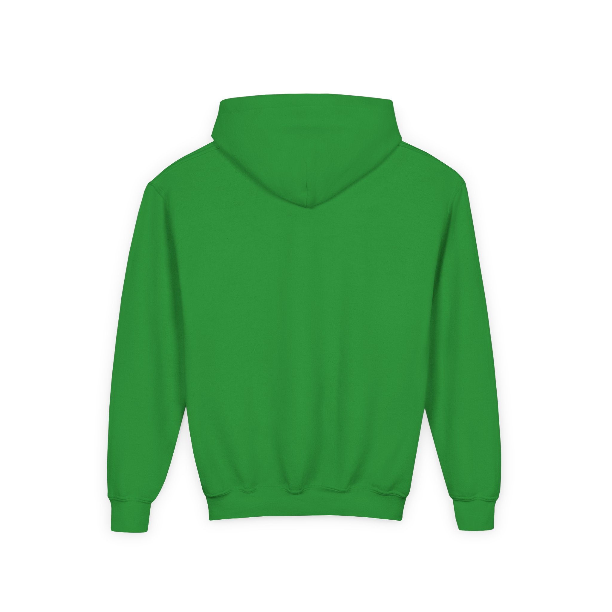 Youth Hoodie - "This Is Your Year" Motivational Graphic Sweatshirt