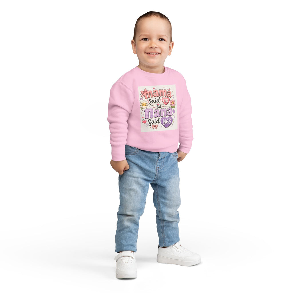 Toddler Sweatshirt