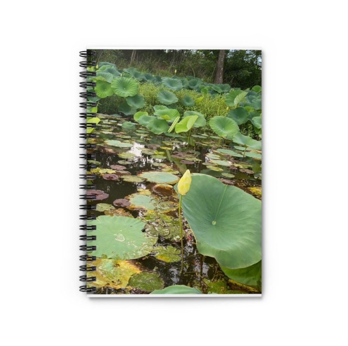 Spiral Notebook - Ruled Line